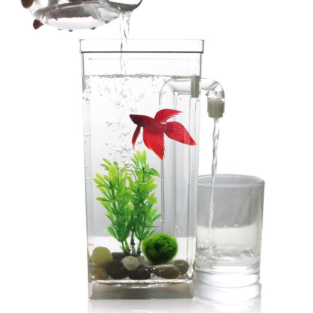 Betta Fish Tank - Preguiçoso livre mudança de água desktop