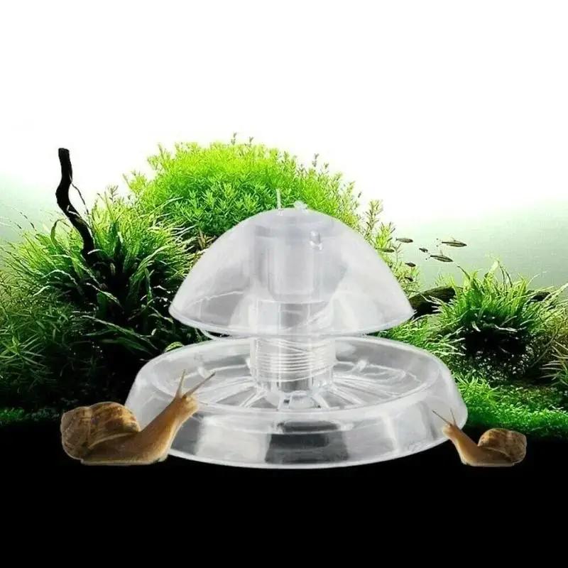 Fish Aquarium Home - 2026 Nova Armadilha de Plástico Transparente
