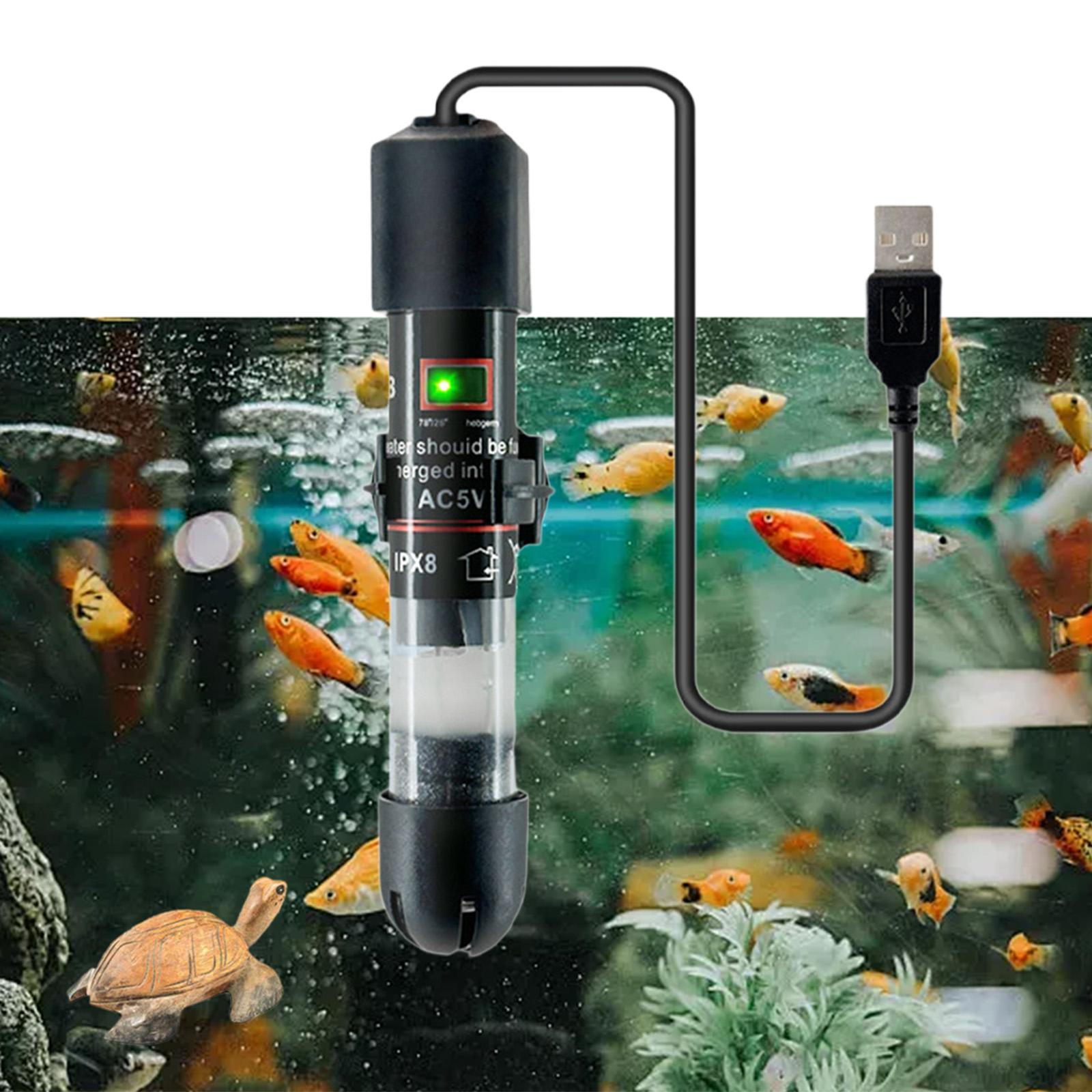 Aquarium Fish Keeping - Aquecedor de tanque de peixes inverno