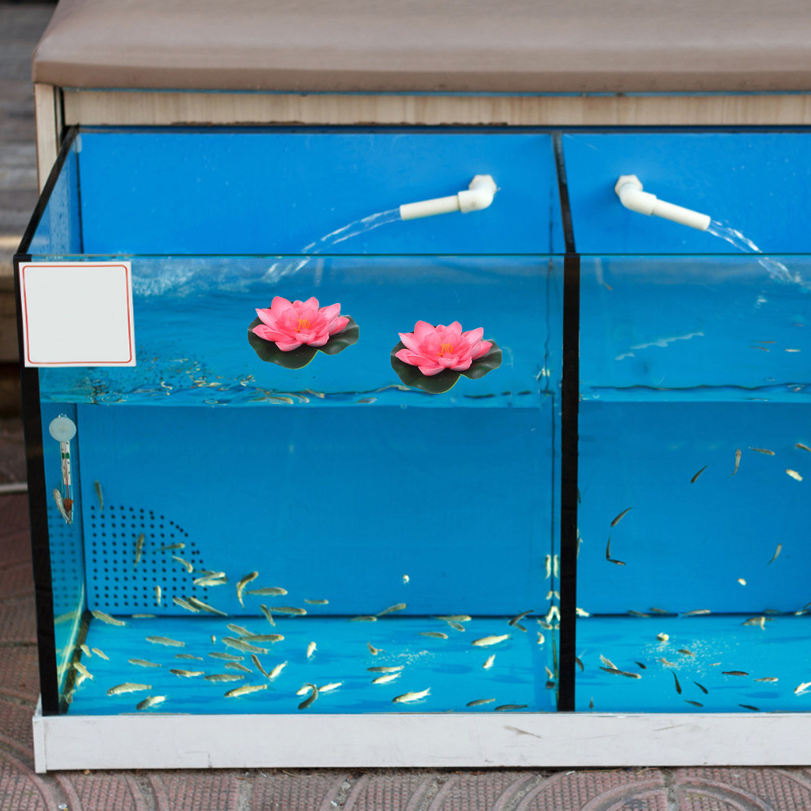 12 unidades de flores artifici - Aquarium Decor avaliação e preço