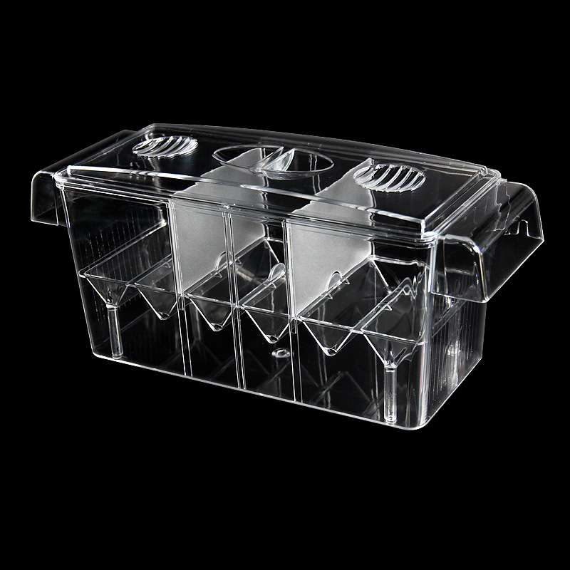 Caixa de isolamento para aquár - Betta Fish Tank avaliação e preço