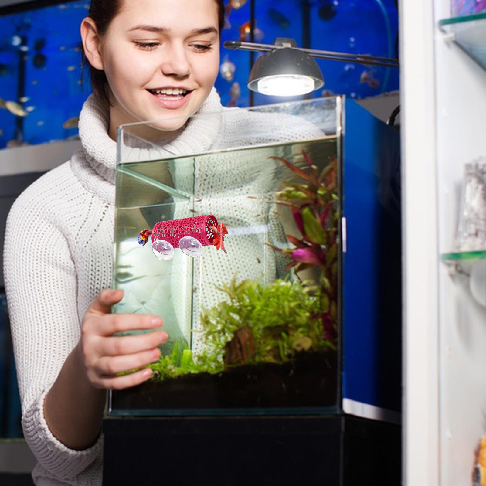 Abrigo de Descanso para Bettas - Betta Fish Tank avaliação e preço