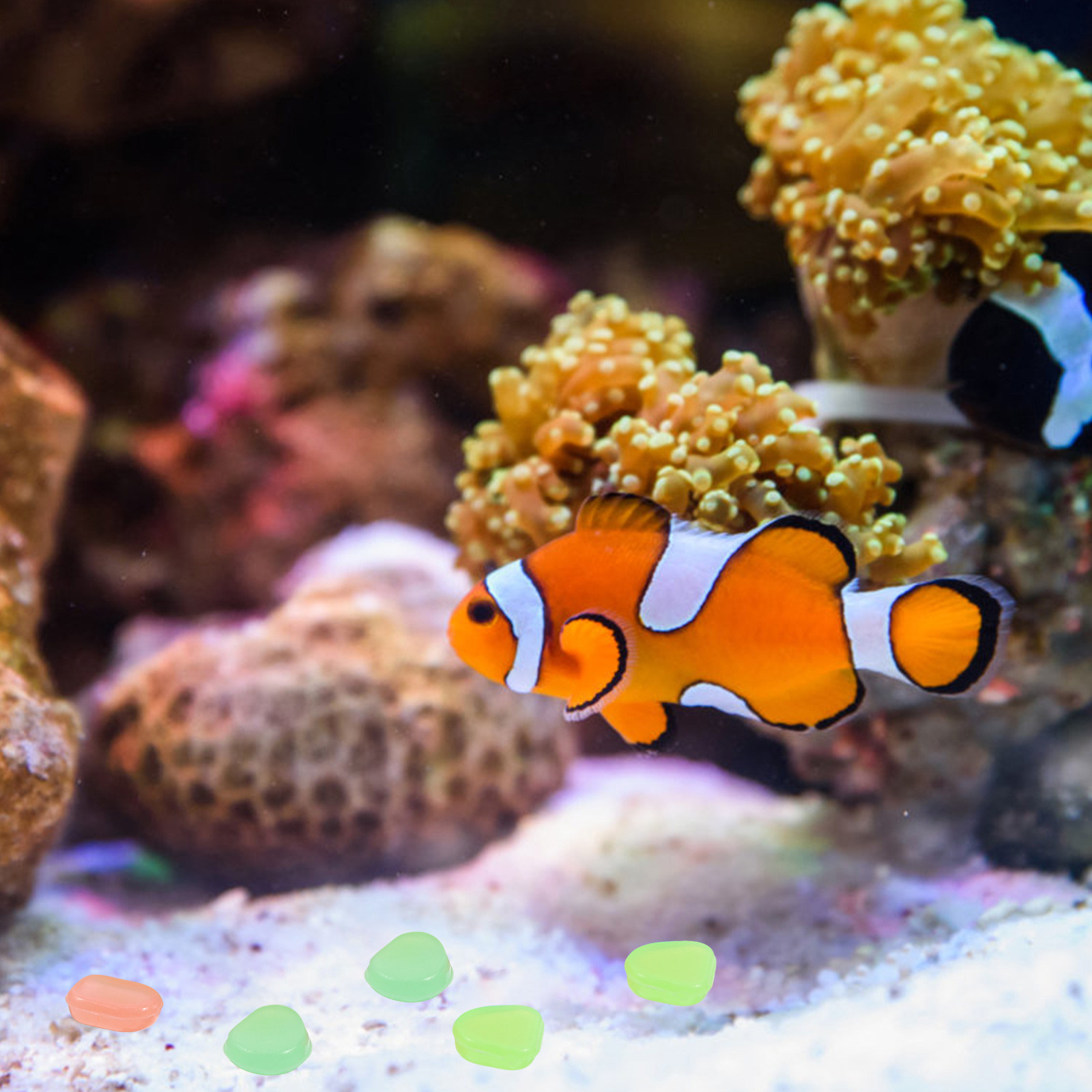 400 peças de pedras luminosas  - Fish Tank Gravel avaliação e preço