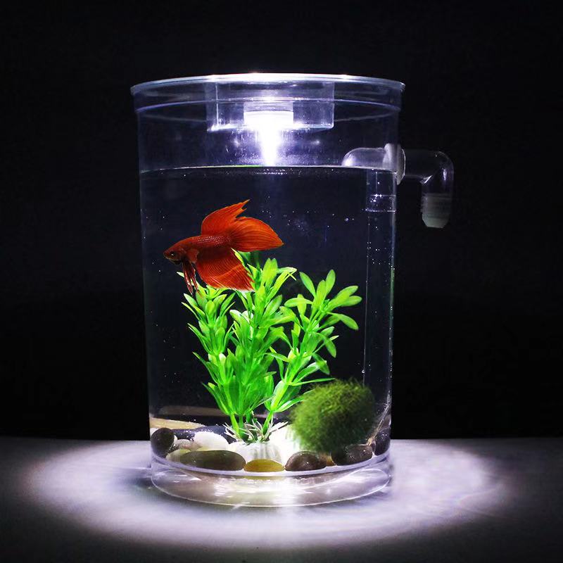 Preguiçoso livre mudança de ág - Betta Fish Tank avaliação e preço