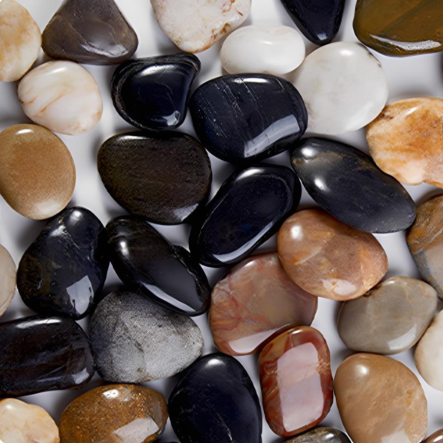 Seixos de Rio Lisos de 300-700 - Aquarium Plants avaliação e preço