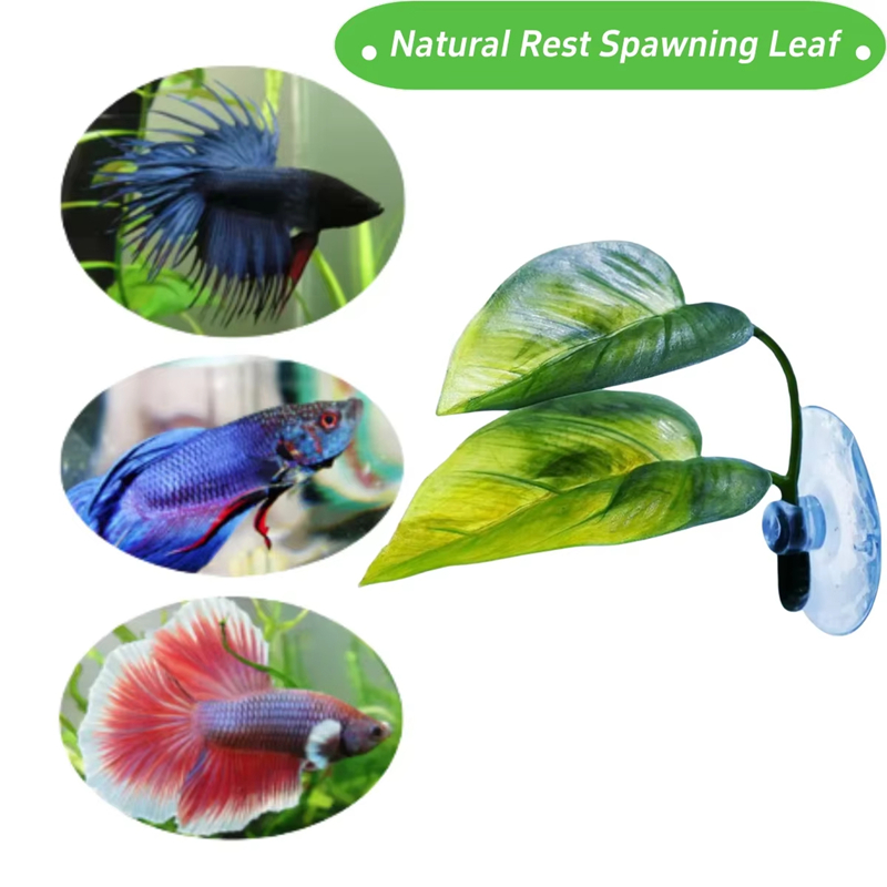 Decoração para Aquários e Supr - Betta Fish Tank avaliação e preço