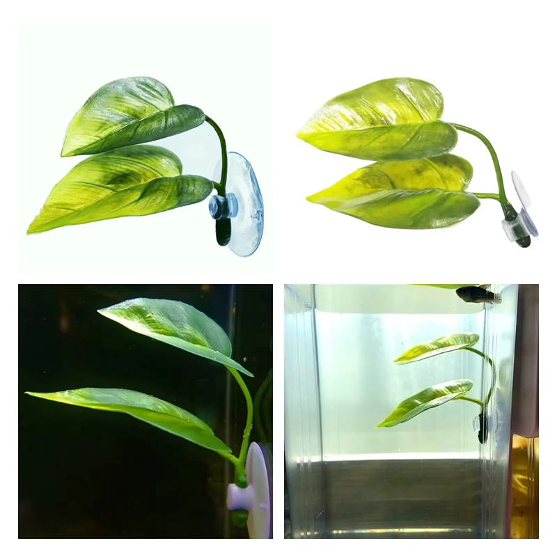 Decoração para Aquários e Supr - Betta Fish Tank avaliação e preço