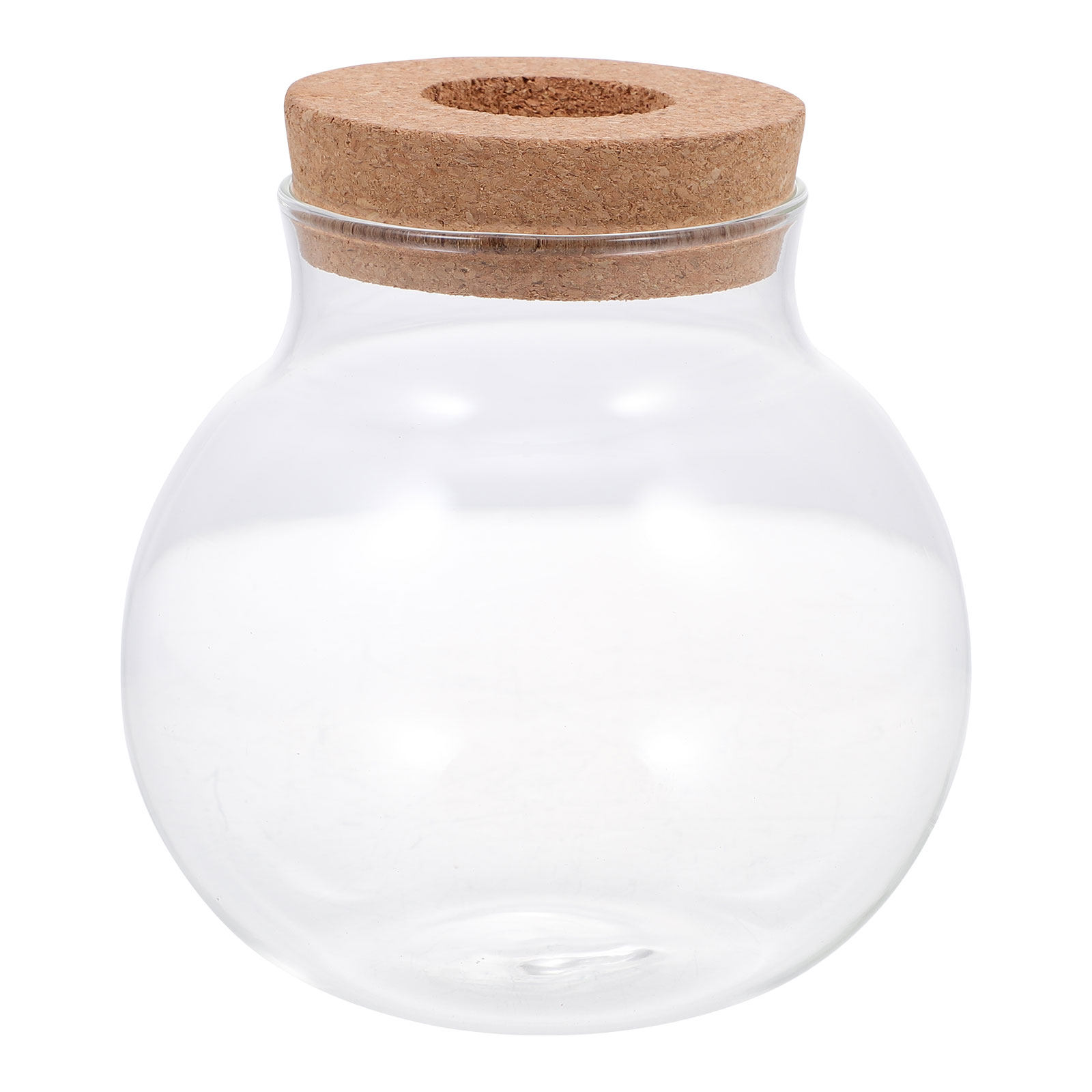 Terrário de Vidro para Pequena - Aquarium Fish Keeping avaliação e preço
