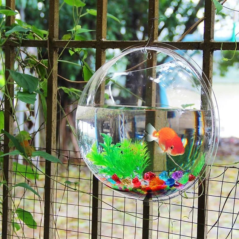 Pinsjar acrílico tigela de pei - Betta Fish Tank avaliação e preço