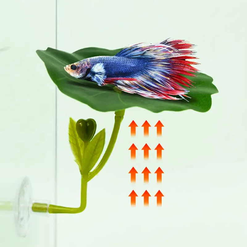 (Ce14)1/5PC Rede de Folhas Ver - Betta Fish Tank avaliação e preço