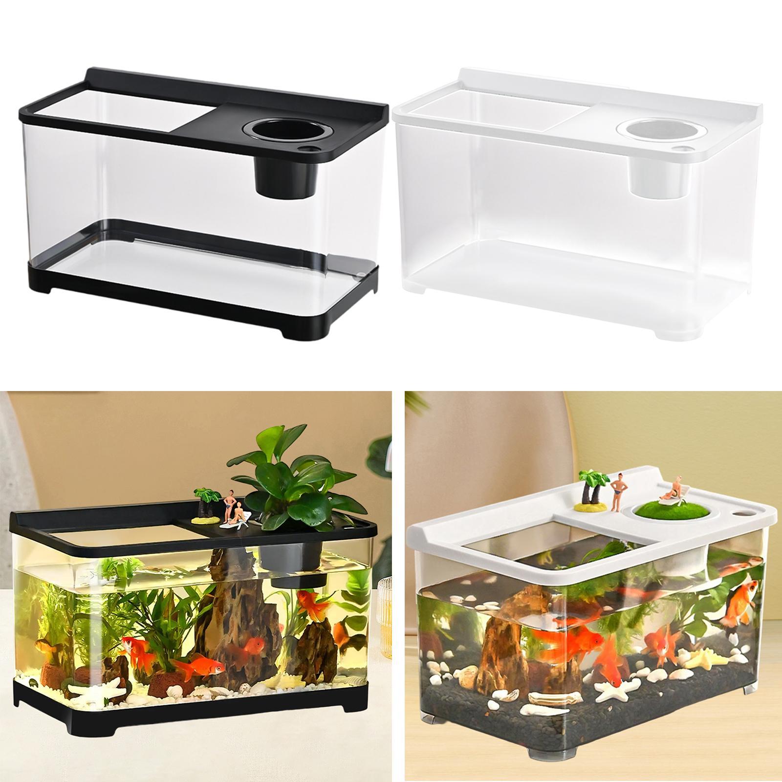 Betta tanque de peixes 34x21x2 - Betta Fish Tank avaliação e preço