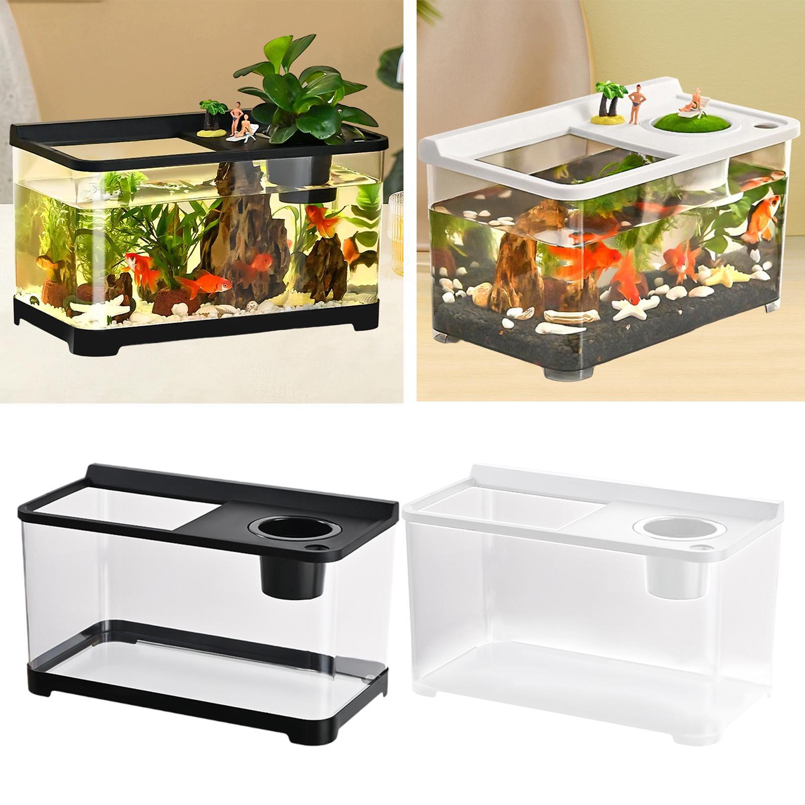 Betta tanque de peixes 34x21x2 - Betta Fish Tank avaliação e preço