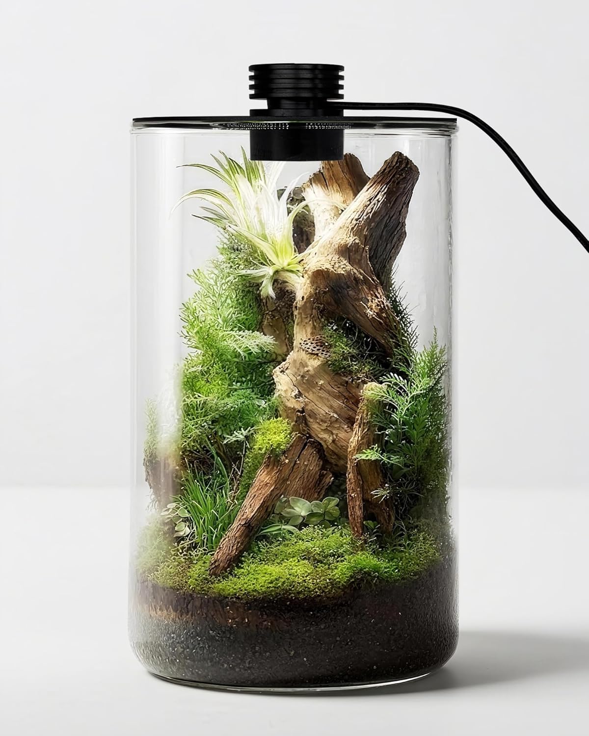 Terrário de Vidro Interno com  - Betta Fish Tank avaliação e preço