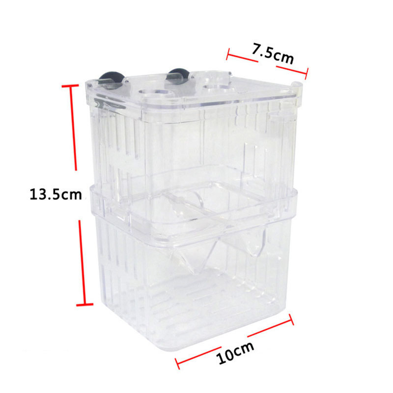 Caixa de isolamento para criaç - Betta Fish Tank avaliação e preço